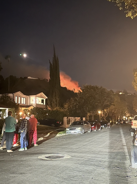 View of the Palisades Fire from Sherman Oaks, CA, on Jan. 13, 2025.